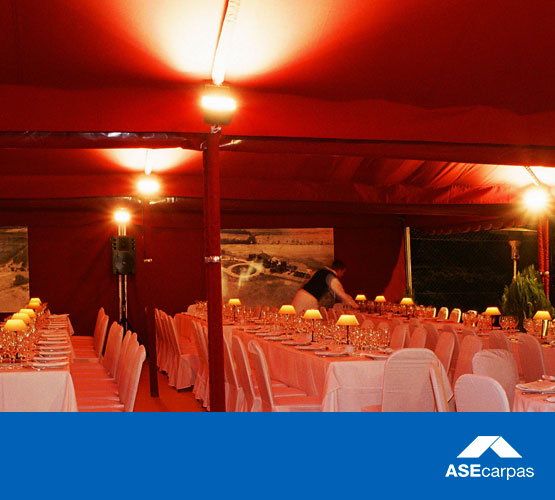 carpas-bodas-ASE0027-555x500