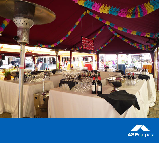 carpas-eventos-ASE0155-555x500