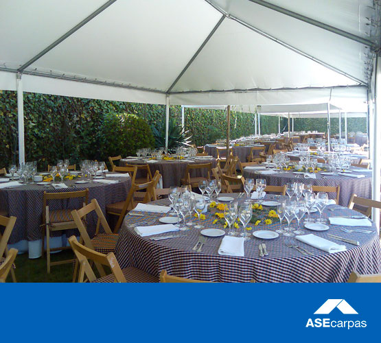 carpas-fiestas-ASE0113-555x500