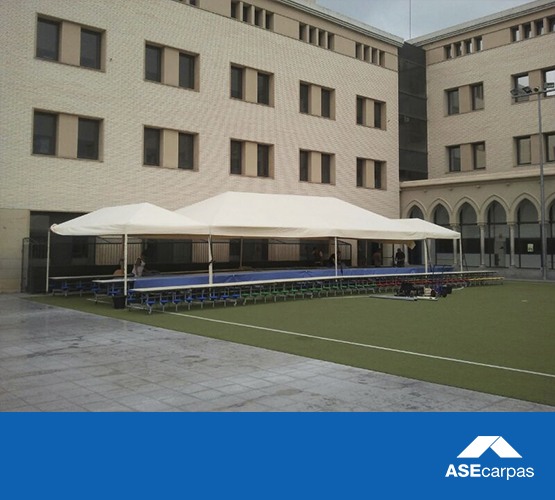 555x500-Carpas-campo-2020